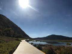 景点-腾冲北海湿地