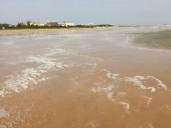 -日照海滨国家森林公园