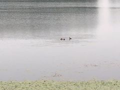 -北京天湖会议中心