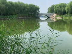 -大兴滨河森林公园