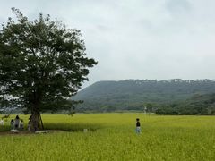 -艾米稻香小镇
