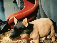 -E+有冰工厂·昆仑寒宫2(五角场店)