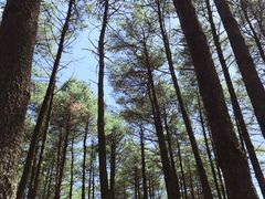 景点-石棉县孟获城