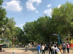 -哈尔滨文化公园