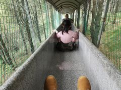 -黄花溪