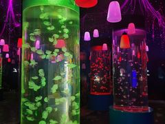 -顺德南宏海立方海洋公园