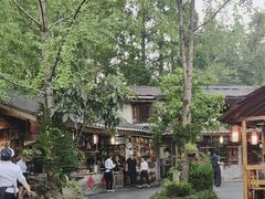 -青城甲(青城山店)