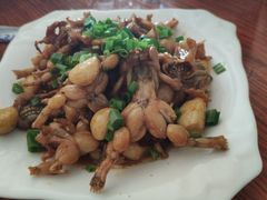-凤嫂农家乐(梁弄店)