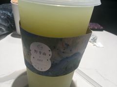 -野萃山·潮汕厚果汁(十亩地店)