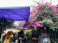 -海韵人家.海景花园经典云南菜(双廊店)