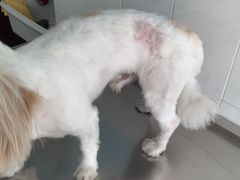 -畜牧兽医站(共江路店)