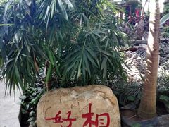 -大顶子山温泉旅游区