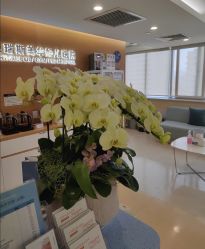 点击看大图 -杭州贝瑞斯美华妇儿医院·早孕·产检·儿科