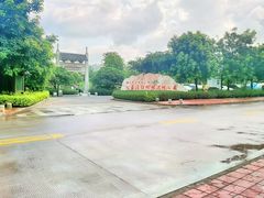 -大亚湾红树林城市湿地公园