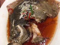清蒸多宝鱼-东方明珠老上海8号餐厅(东方明珠广播电视塔店)