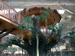 -南宫五洲植物乐园