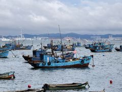 -海源公园