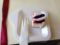 -维尔纳斯·生日蛋糕动物奶油冰淇淋蛋糕(人大店)