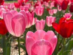 -玄武湖景区-情侣园游乐场