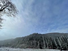 -武陵山森林公园