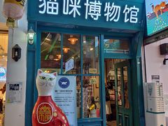 -猫咪博物馆(顶澳仔猫街店)