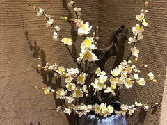 -千代武日本料理(爱建店)