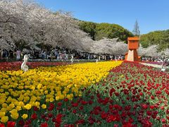 -苏州上方山国家森林公园