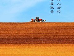 -阿英煲(凉城路店)