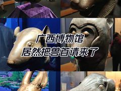 -广西壮族自治区博物馆