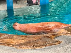 -新疆天山野生动物园