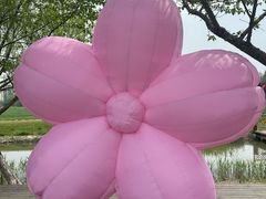 -长兴太湖图影湿地文化园
