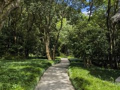 -兰亭风景区
