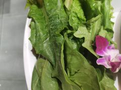 -袁老四重庆老火锅(桐梓坡店)