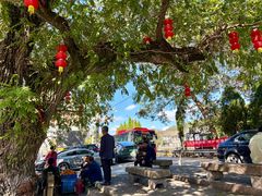 -大树下饭店(春晓镇慈岙社区卫生服务站南)