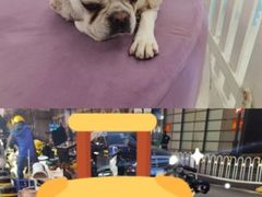 -怪兽屋·羊驼·猫咖·狗咖(俊华广场店)