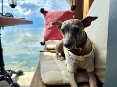 -六阅·福十 FORTEN 海景咖啡西餐厅(双廊古镇店)