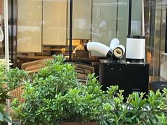 -去茶山(新光里店)
