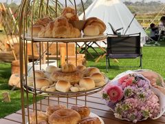 -光明小镇欢乐田园