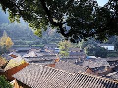 -杨家堂村