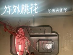 门面-竹外桃花·江南小酒馆(SKP·S店)