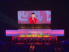 -南京奥林匹克体育中心-体育馆