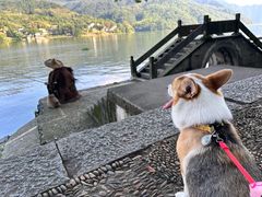 -严子陵钓台(富春江小三峡)