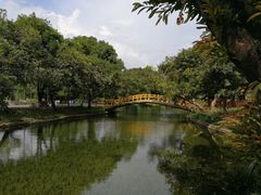 -晓港公园