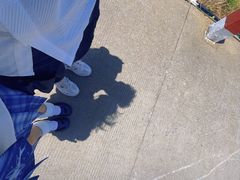 -东极岛景区