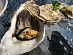 -千岛蚝高压锅生蚝·人参火锅(白云万达店)