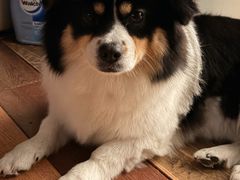 -学子推拿(苏果店)