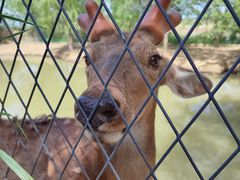 -泗洪洪泽湖湿地景区