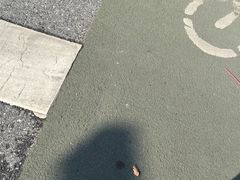 冰魔栗-粒上皇(五岭店)