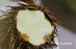 Sea Urchin Egg Custard
