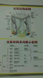 -理肤印象·个人皮肤管理中心